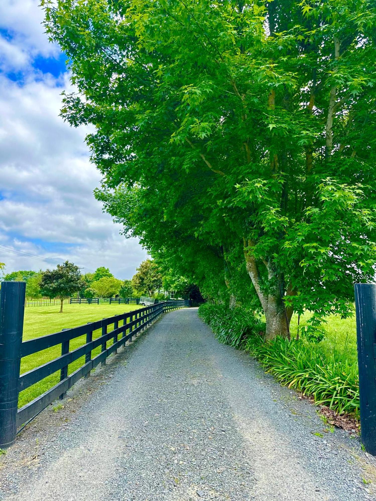 Matamata Country B&B Exterior photo