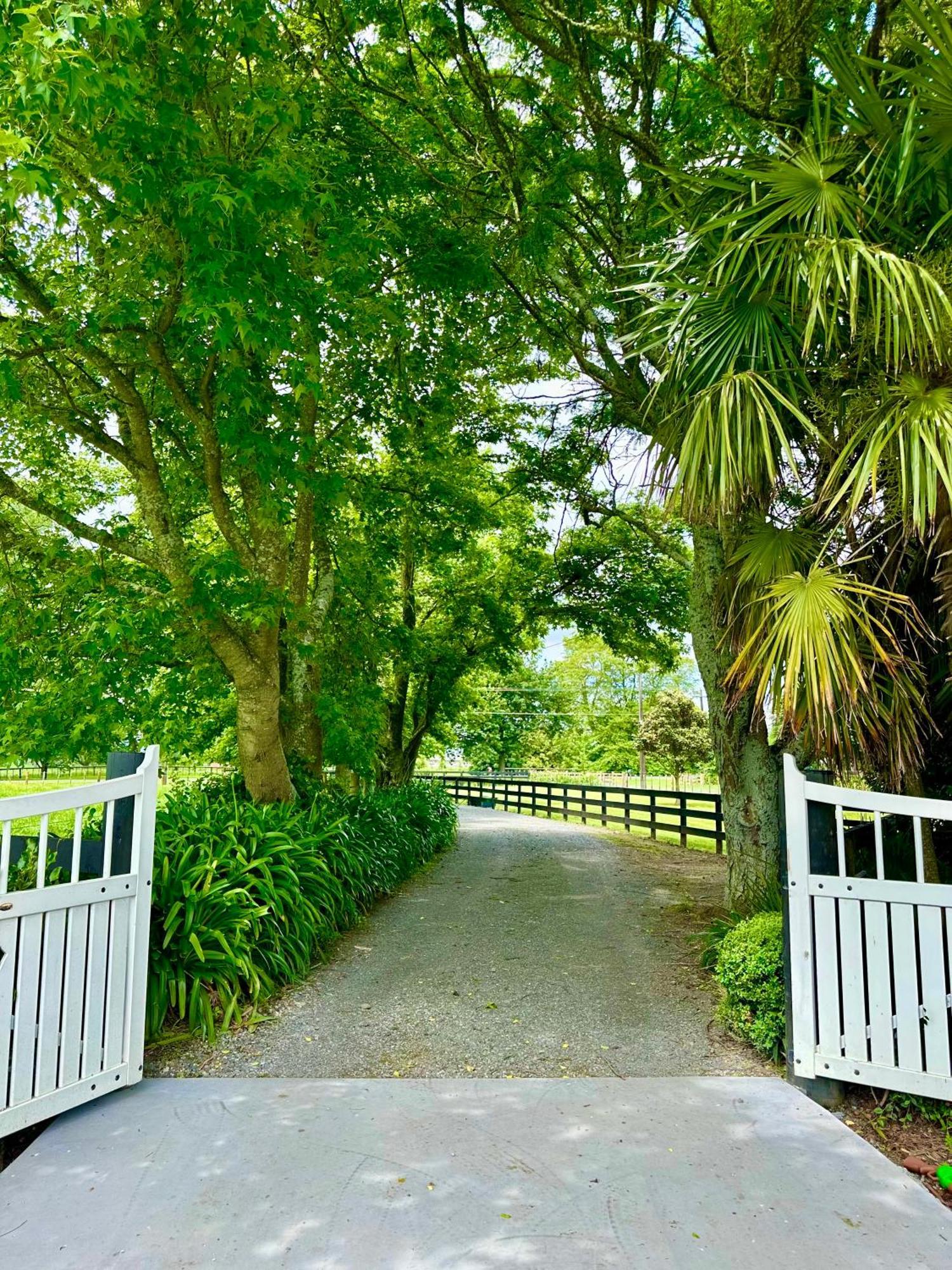 Matamata Country B&B Exterior photo